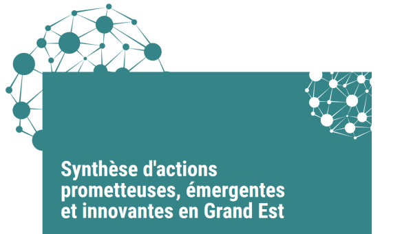 Synthèse d'actions prometteuses, émergentes et innovantes en Grand Est · Compétences psychosociales · Nutrition