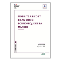 Mobilité à pied et bilan socio-économique de la marche Image 1