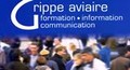 Grippe aviaire. Formation - information communication. ... Image 1