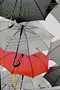 Tisser les fils de la société. Première partie : combattre le primat de la croissance